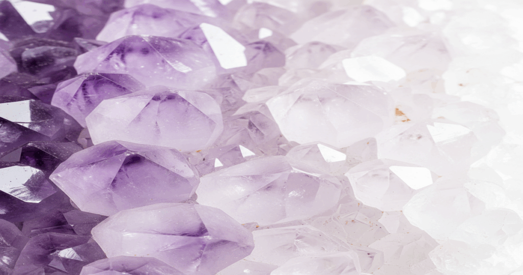 透明感のあるアメジストクラスター。左の紫から右へ向かって徐々に乳白色に白濁していく様子。